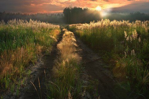 утром по росе