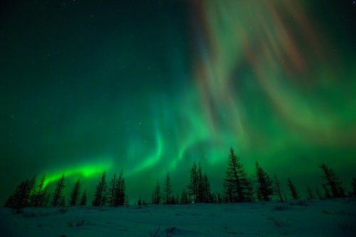 Aurora Borealis#6
