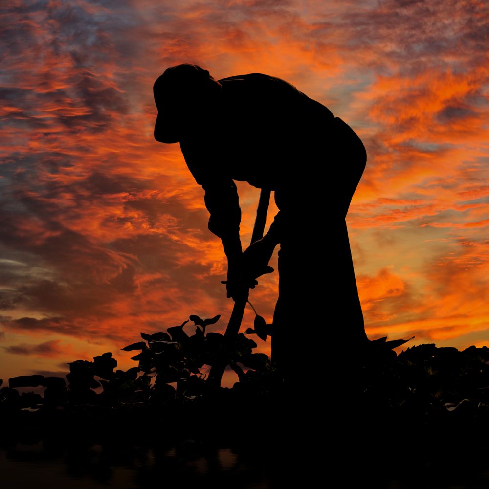 The ground worker