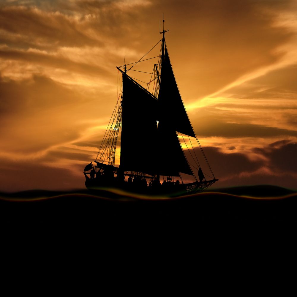 Magical trip