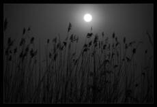 Silence