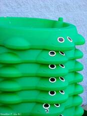 Frogs