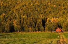 Осенняя пасторальная.