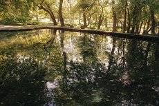 Reflections