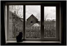 ...out of the window...