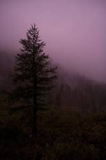 Magenta. No correction