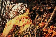 Wood Fairy