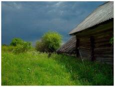 Русская Деревня. Июнь. Перед дождем.