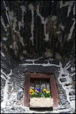 Цветочки