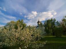 Актриса Весна