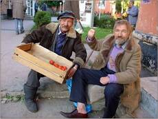 Свежие Помидоры