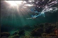Тне Mermaid (Русалка.  Подводное фото)