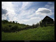 Банный день