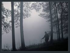 утром на Трояссах...