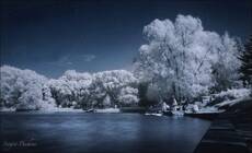 infrared summer #2
