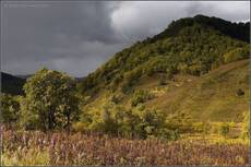 Осенняя
