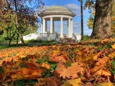 На празднике красок