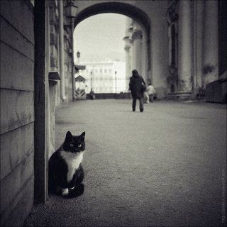Котейко.