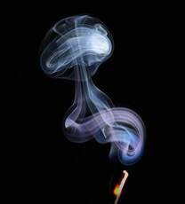 smoke jellyfish