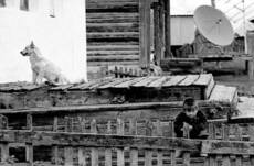 Ороктой-1