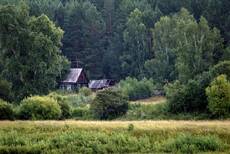 затерянные в глуши