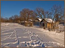 Дачки