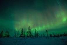 Aurora Borealis#4