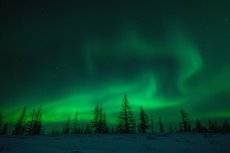 Aurora Borealis#5