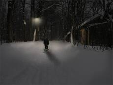 домой