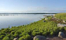 Белое море. Мыс Киндо