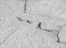Многоногость