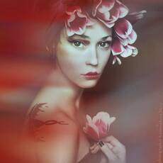 Princess Tulip