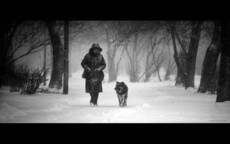 Человек собаке друг - это знают все вокруг.