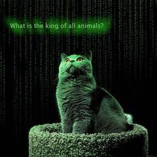 What is the king of all animals?