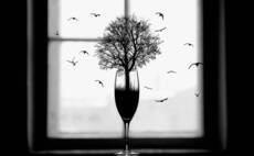 Природа...