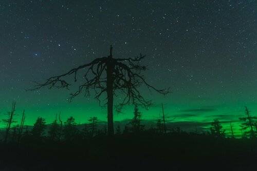 Aurora borealis,Vottovaara mountain, Karelia, Russia