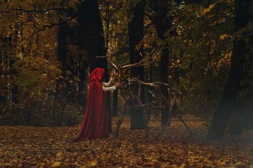 .red autumn.