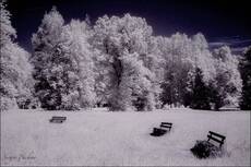 infrared summer #3