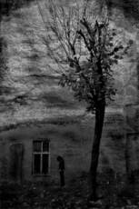Okstree