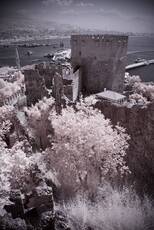 Red Tower