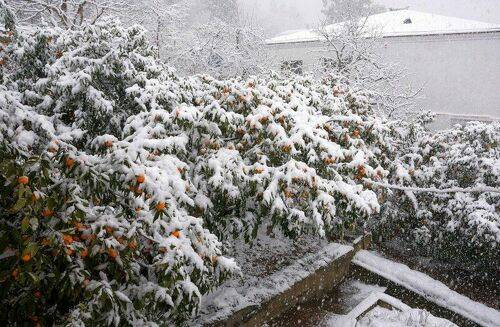 Когда в Абхазию заглянула зима