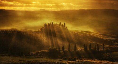 Golden Tuscany