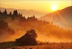 Туманное утро