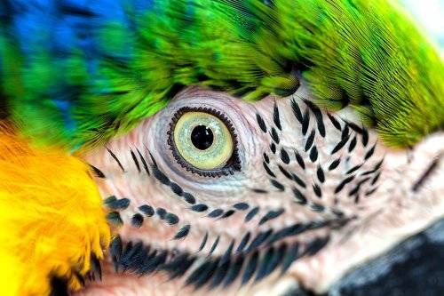 Colorful world