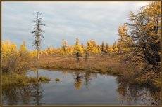 Осень в Приполярье