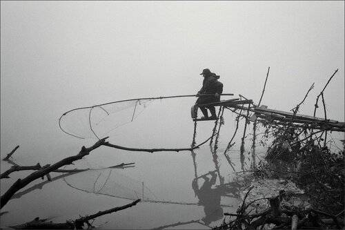 Ловец тумана