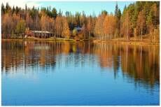 В красках осени