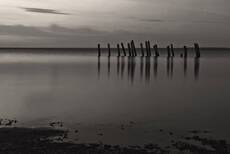 Reflections