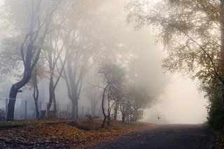 Про осенние улицы