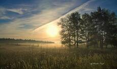 Morning